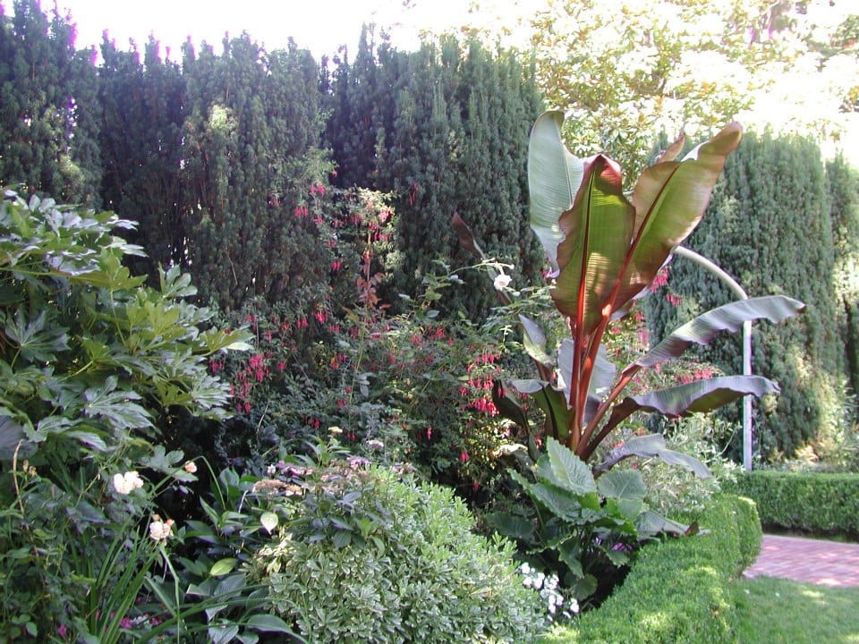 The heart and the world